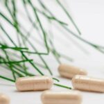 Chitosan : bienfaits et efficacité de ce capteur de graisse